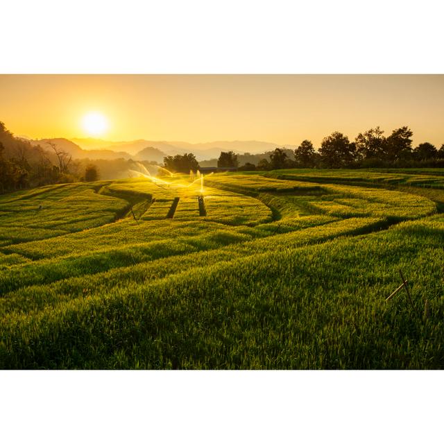 Barley Field Sunset At Samoeng Chiang Mai, Thailand by DONOT6 - Wrapped Canvas Print Union Rustic Size: 61cm H x 91cm W x 3.8cm D on Productcaster.