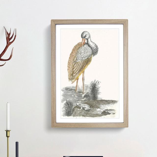 Stork & Frog by Johan Teyler - Picture Frame Art Print East Urban Home Frame Option: Oak Framed, Size: 65cm H x 48cm W x 2cm D on Productcaster.