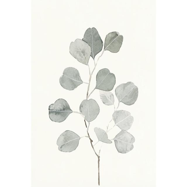 Delicate Sage Botanical I by Emma Caroline - Wrapped Canvas Painting Print Marlow Home Co. Size: 122cm H x 81cm W on Productcaster.