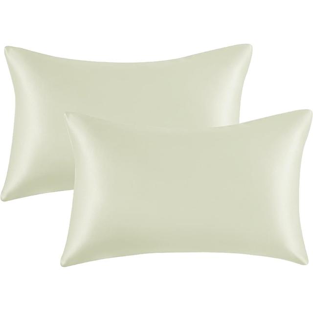 My Home Store Tabris Stain Silk Envelope Square Oxford Pillowcase Canora Grey Colour: Cream on Productcaster.