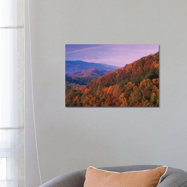 Fall Colored Forest, Appalachian Mountains, Great Smoky Mountains National Park, North Carolina by Tim Fitzharris - Wrapped Canvas Print Alpen Home Si on Productcaster.