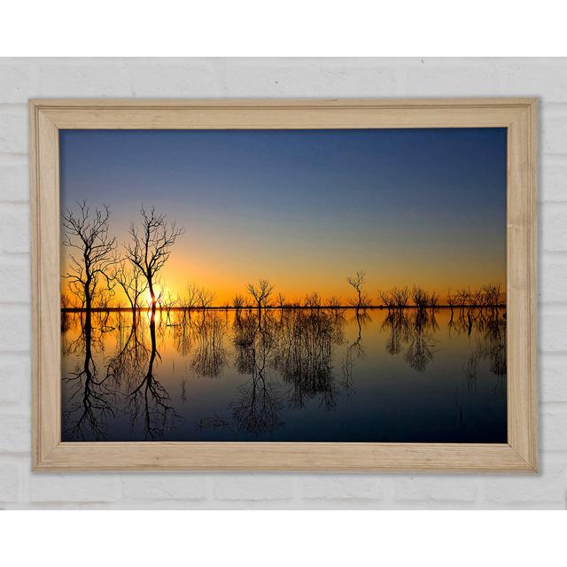 Beautiful Reflections of the Winter Trees - Single Picture Frame Print Ebern Designs Size: 84.1cm H x 118.9cm W x 1.5cm D on Productcaster.