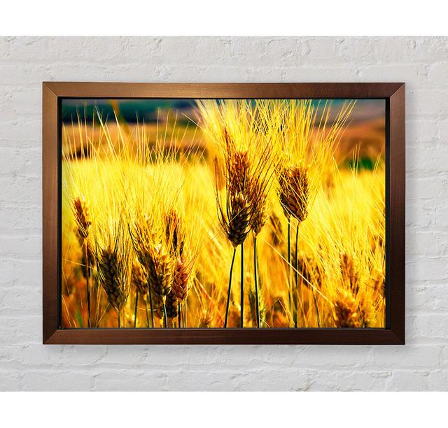 Wheat Field Near The Forest - Print August Grove Size: 59.7cm H x 84.1cm W x 3.4cm D on Productcaster.