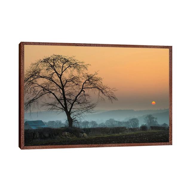 Morning Sun by Adelino Goncalves - Photograph on Canvas 17 Stories Format: Classic Brown Wood Framed, Size: 45.72cm H x 66.04cm W x 3.81cm D on Productcaster.