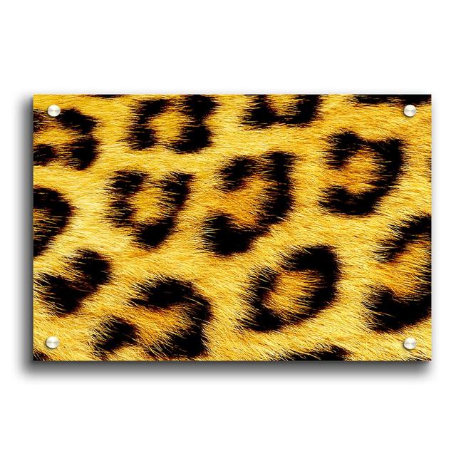 Leopard Print - Unframed Photograph Print on Paper East Urban Home Size: 29.7cm H x 42cm W on Productcaster.