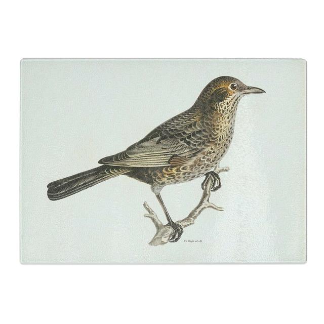 Tempered Glass Blackbird by Von Wright Chopping Board East Urban Home Size: 28.5cm W x 20cm L on Productcaster.