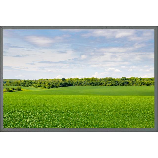 Opie Summer Landscape With Hilly Green Field And Forest In The Distance - Single Picture Frame Print Latitude Run Size: 31cm H x 46cm W x 4cm D, Frame on Productcaster.