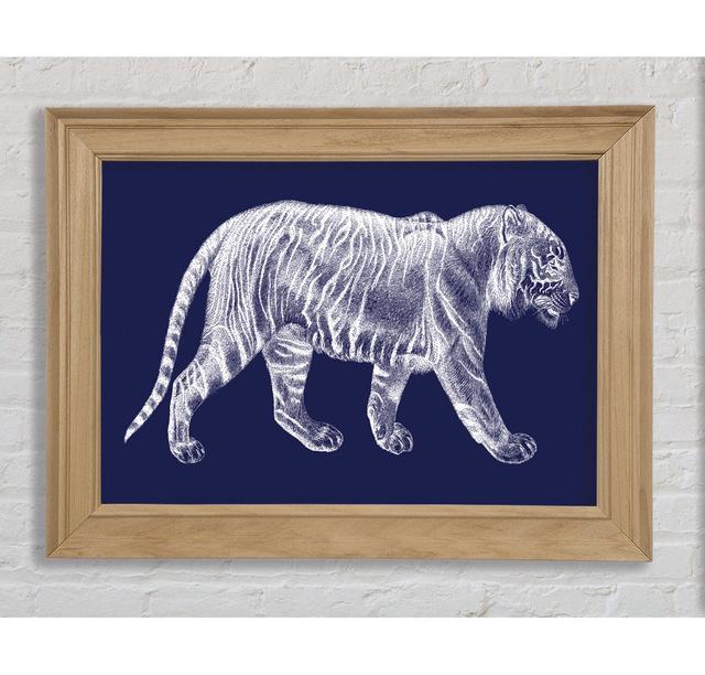 The X Ray Tiger Framed Print Bright Star Size: 29.7cm H x 42cm W on Productcaster.