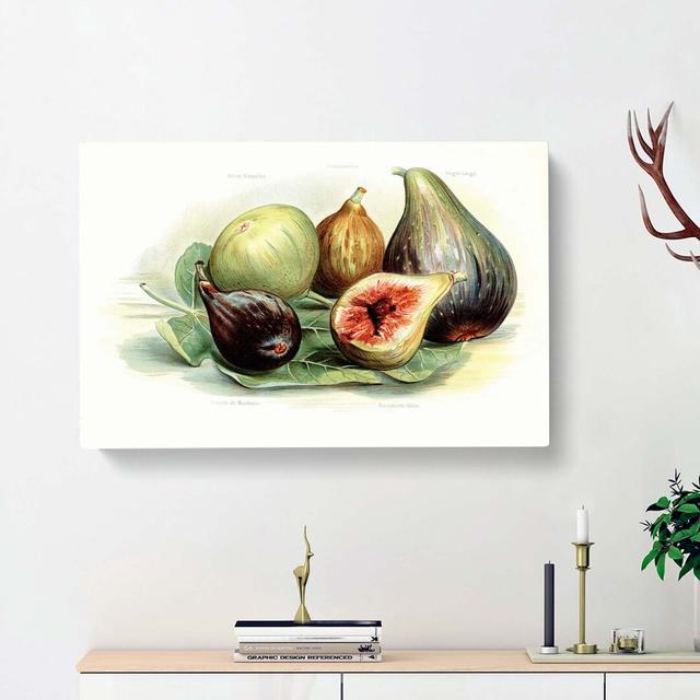 Vintage Illustration of Figs - Wrapped Canvas Painting Print East Urban Home Size: 60cm H x 91cm W x 3cm D on Productcaster.