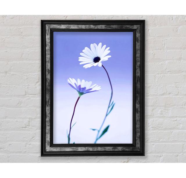 White Daisy Duo On Lilac - Single Picture Frame Art Prints Bright Star Size: 42cm H x 21cm W x 8cm D on Productcaster.