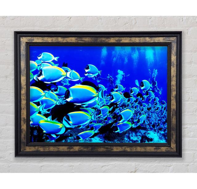 Oceans Glory - Single Picture Frame Art Prints Bright Star Size: 21cm H x 42cm W x 8cm D on Productcaster.