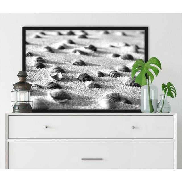 Muscheln Im Sand Kunst B&W - Poster Im Rahmen (y12622) House of Hampton Größe: 40 cm H x 55 cm B x 2,5 cm T on Productcaster.