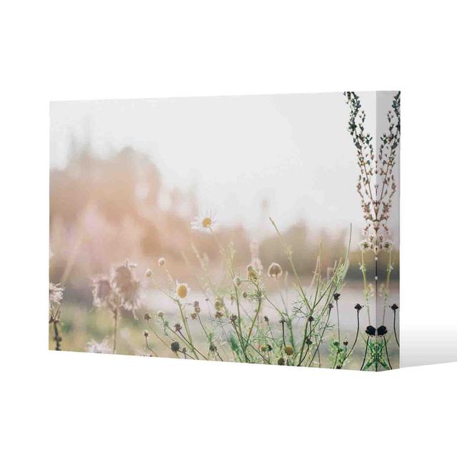 Wild Daisies by Andrew Lee - Wrapped Canvas Print Brayden Studio Size: 76cm H x 111cm W x 4cm D on Productcaster.