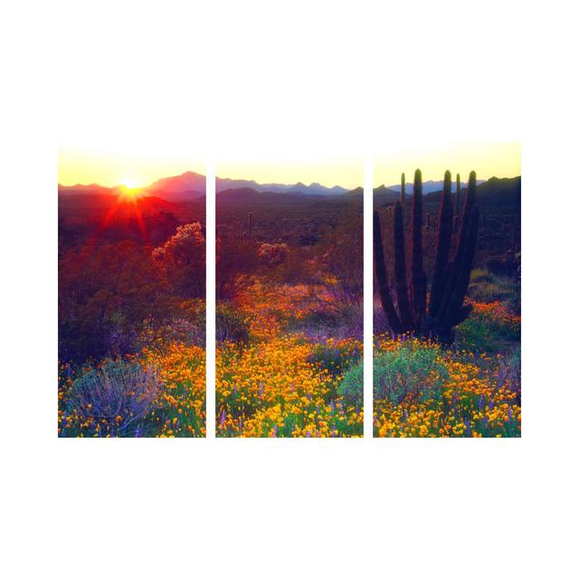 Sunset Over An American Southwest Landscape, Organ Pipe National Monument, Pima County, Arizona, USA by Christopher Talbot Frank - No Frame Gallery-Wr on Productcaster.