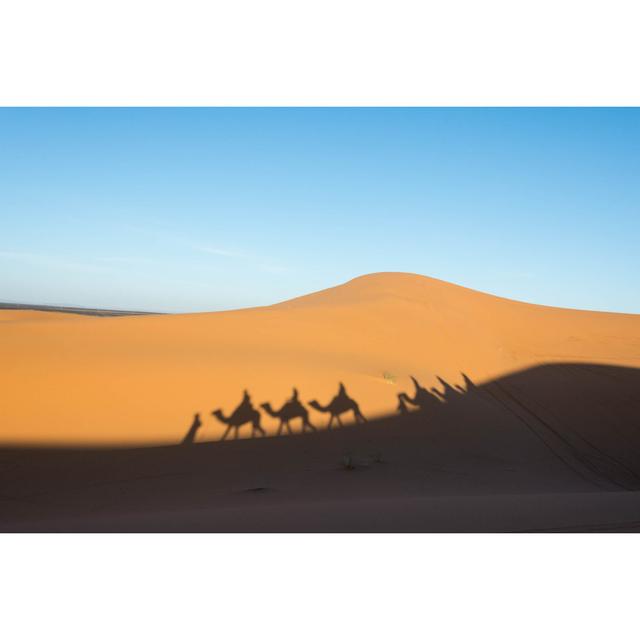 Camel Shadows On The Sand Dune In Sahara Desert by Wayfarerlife - Wrapped Canvas Print Gracie Oaks Size: 81cm H x 122cm W on Productcaster.