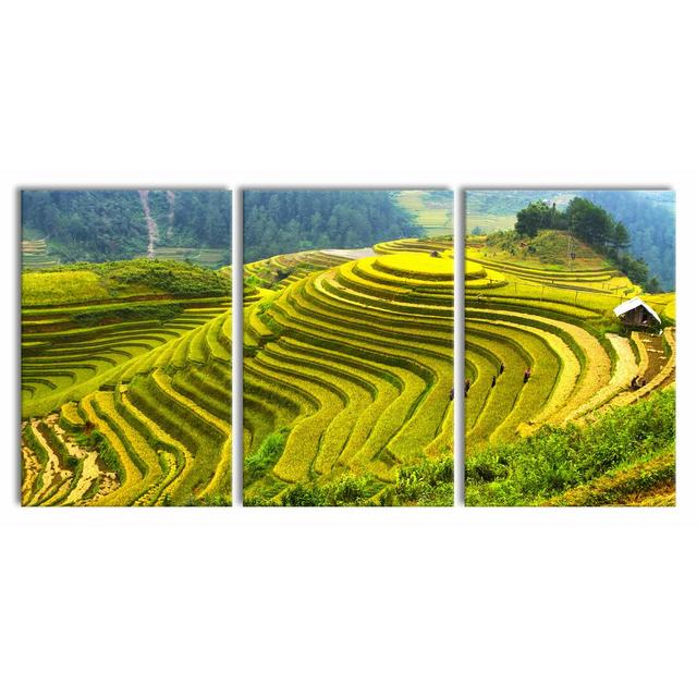 Rice Terraces - 3 Piece Wrapped Canvas Print East Urban Home Size: 120cm H x 240cm W on Productcaster.