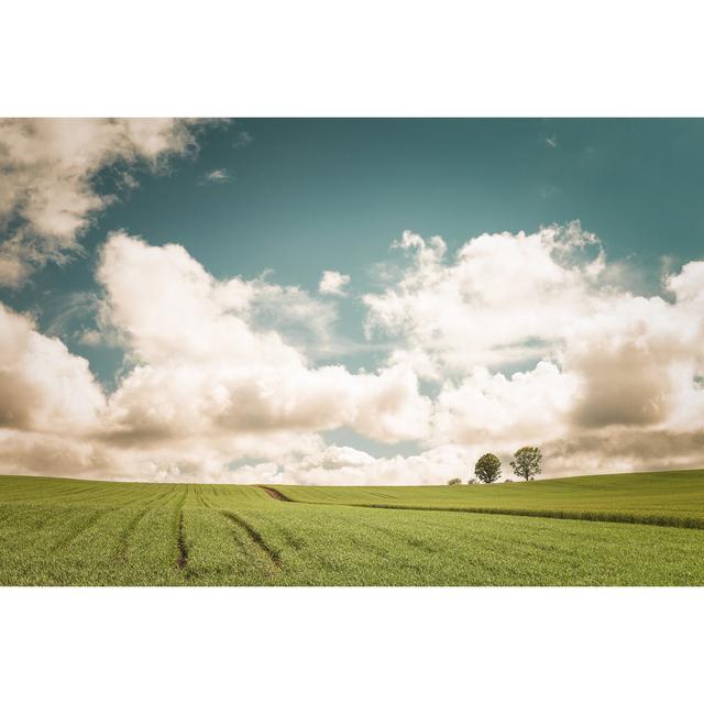 Prairie by Jaimax - Wrapped Canvas Photograph 17 Stories Size: 30cm H x 46cm W on Productcaster.