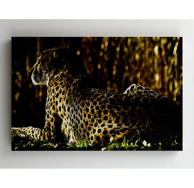 Ruhender Gepard - Druck ohne Rahmen auf Leinwand ModernMoments Größe: 99,5 cm x 141,7 cm B on Productcaster.