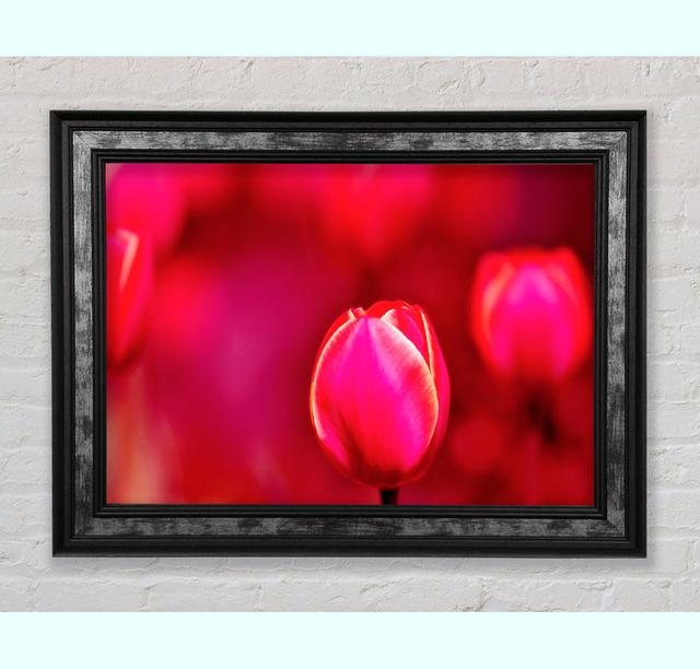 Single Picture Frame Art Prints Ebern Designs Size: 59.7cm H x 84.1cm W x 8cm D, Format: Silver Black Framed Paper on Productcaster.