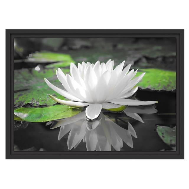 Gerahmter Grafikdruck White Lotus Flower in Water East Urban Home Größe: 40 cm H x 55 cm B x 2,4 cm T, Farbe: Grau on Productcaster.