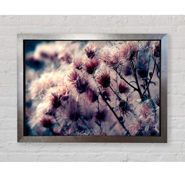 Cotton Buds - Single Picture Frame Art Prints Bright Star Size: 59.7cm H x 84.1cm W x 3.4cm D on Productcaster.