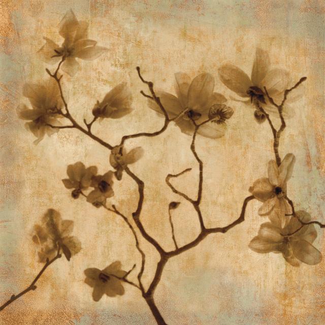 Magnolias I by Caroline Kelly - Wrapped Canvas Print ClassicLiving Size: 30cm H x 30cm W on Productcaster.