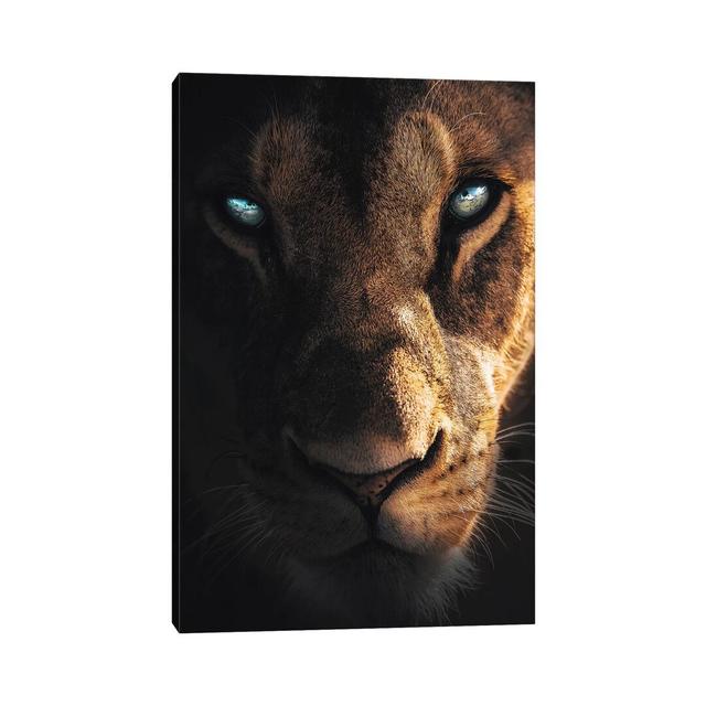 Eye of the Lion by Zenja Gammer - Photograph Print on Canvas Bloomsbury Market Format: Wrapped Canvas, Size: 66.04cm H x 45.72cm W x 3.81cm D on Productcaster.