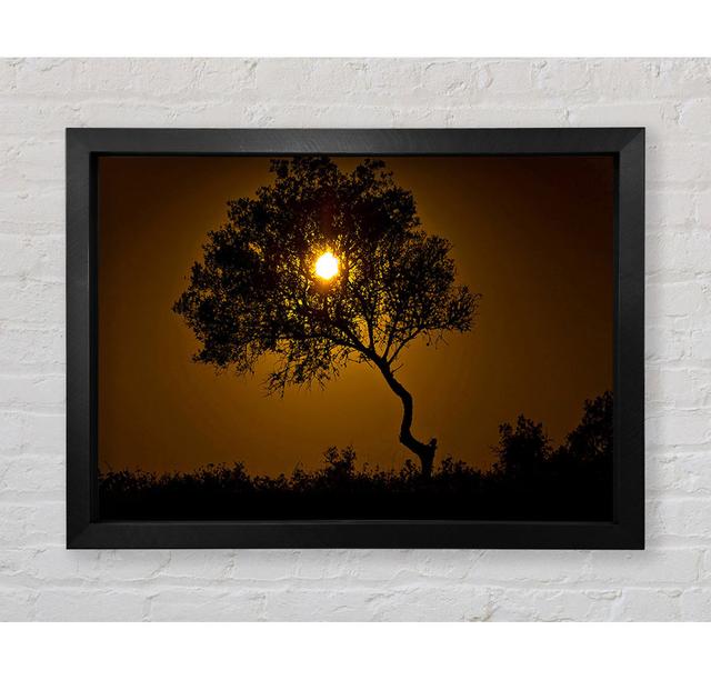 Chocolate Sunset Tree - Single Picture Frame Art Prints Bright Star Size: 42cm H x 59.7cm W x 3.4cm D on Productcaster.