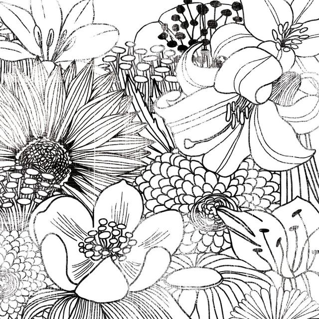 Contemporary Garden II Black and White by Michael Mullan - Wrapped Canvas Drawing Rosalind Wheeler Size: 76cm H x 76cm W on Productcaster.