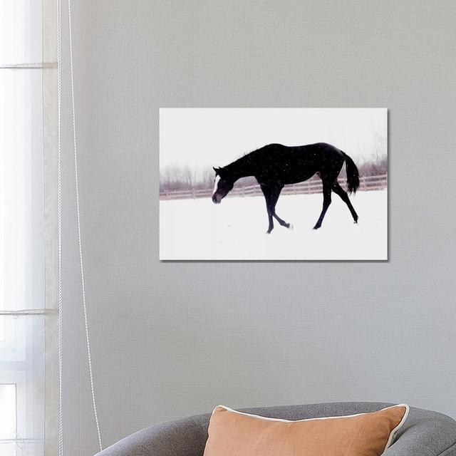 Black Horse In The Snow by - Wrapped Canvas Photograph Natur Pur Size: 45.72cm H x 66.04cm x W 3.81cm D on Productcaster.