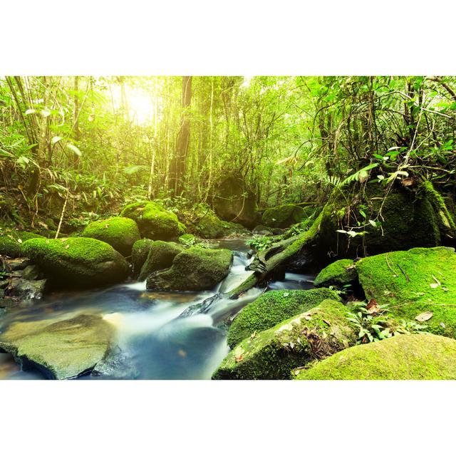 Jungle At Sunrise by Zodebala - Wrapped Canvas Art Prints Alpen Home Size: 81cm H x 122cm W x 3.8cm D on Productcaster.