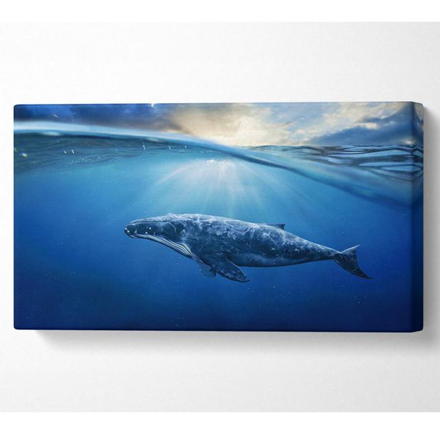 Ocean Whale - Wrapped Canvas Art Prints Highland Dunes Size: 50.8cm H x 101.6cm W on Productcaster.