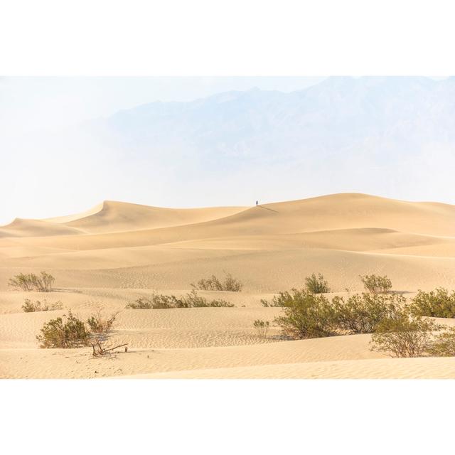 Blacfore Sand Dunes Landscape - Wrapped Canvas Print Natur Pur Size: 81cm H x 122cm W x 3.8cm D on Productcaster.