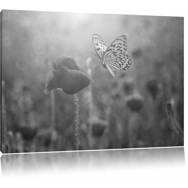 Leinwandbild „Mohn und Schmetterling“, Fotodruck East Urban Home Größe: 80 cm H x 120 cm B on Productcaster.