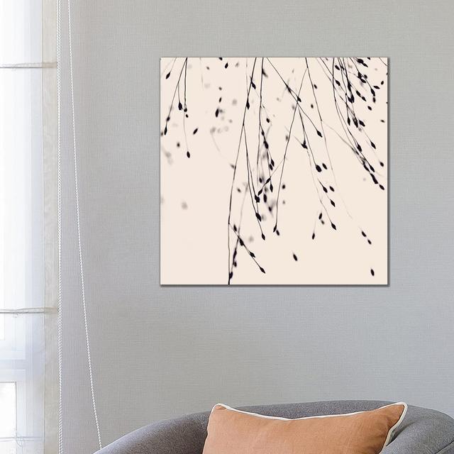 Black Grass Blush Square by Monika Strigel - Wrapped Canvas Graphic Art ClassicLiving Size: 66.04cm H x 66.04cm W x 3.81cm D on Productcaster.