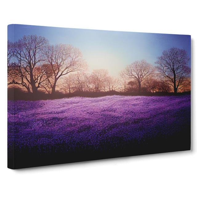 Staggering Bluebell Field Sunrise - Wrapped Canvas Photograph ClassicLiving Size: 35cm H x 50cm W x 3cm D on Productcaster.