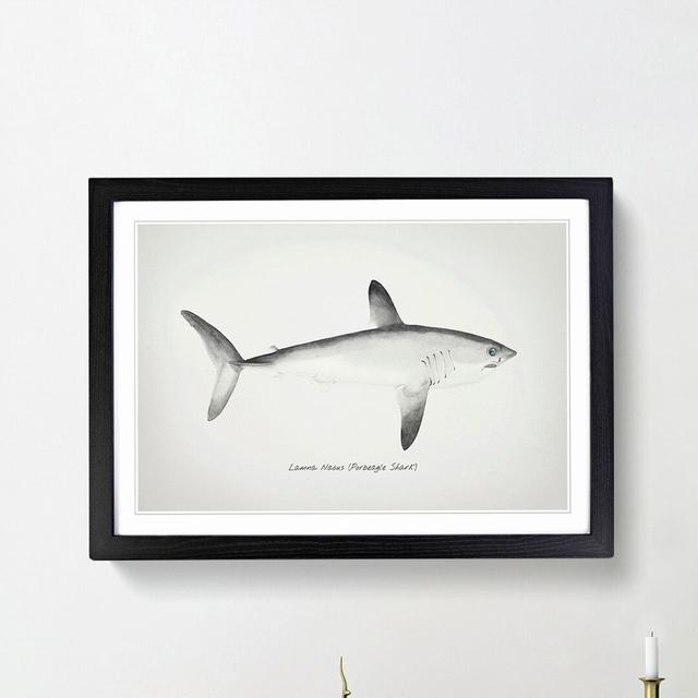 Illustration of a Porbeagle Shark by F.E. Clarke - Picture Frame Painting Print East Urban Home Frame Option: Black Framed, Size: 48cm H x 65cm W x 2c on Productcaster.