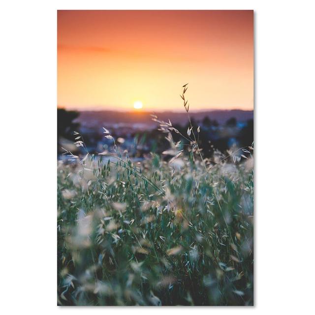 Grain and Sunset - Wrapped Canvas Photograph Print Latitude Run Size: 120cm H x 80cm W on Productcaster.