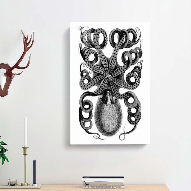 Rear of an Octopus in Black and White by George Shaw - Wrapped Canvas Graphic Art Pint East Urban Home Size: 60cm H x 40cm W x 3cm D on Productcaster.