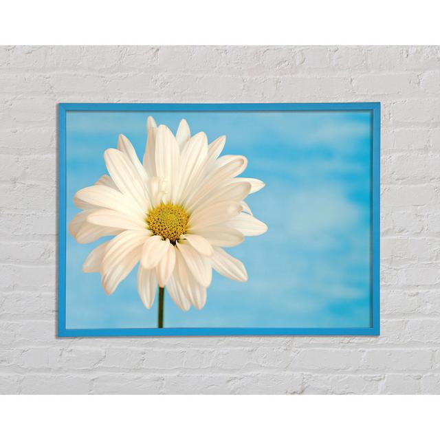 Daisy Skies - Single Picture Frame Art Prints Ophelia & Co. Size: 42cm H x 59.7cm W x 2cm D on Productcaster.