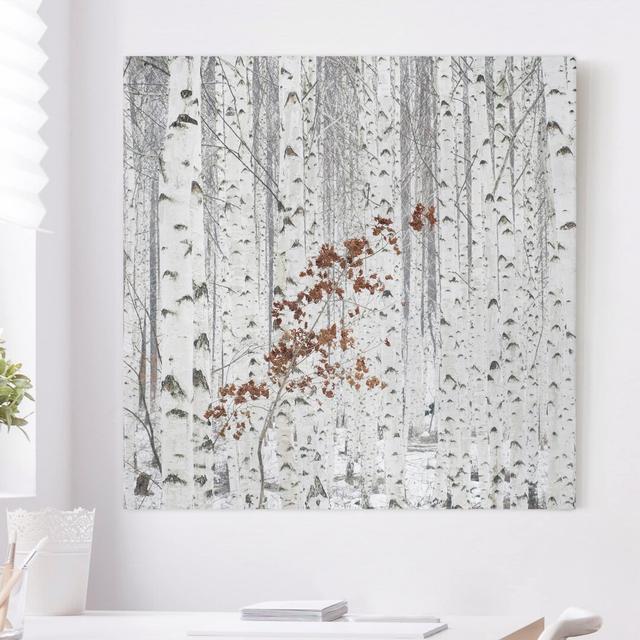 Leinwandbild Birch Trees in Autumn Union Rustic Format: Leinwand, Größe: 80 cm H x 80 cm B on Productcaster.