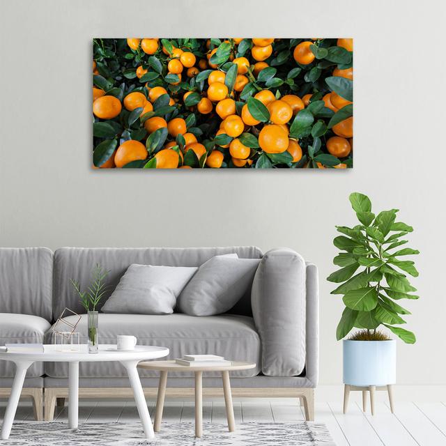 Mandarinen - Kunstdrucke auf Leinwand - Wrapped Canvas ModernMoments on Productcaster.