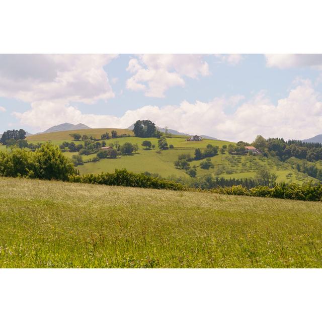 Summer Rural Landscape - Wrapped Canvas Print Alpen Home Size: 51cm H x 76cm W on Productcaster.