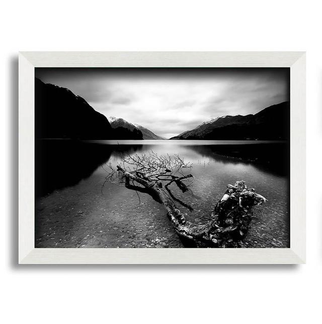 Tree in the Lake B N W - Single Picture Frame Art Prints Union Rustic Size: 42cm H x 59.7cm W on Productcaster.