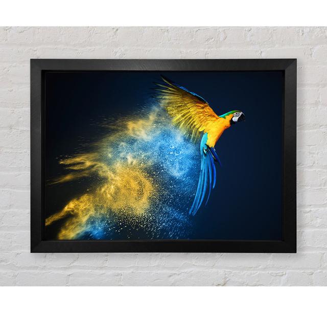 Powder Parrot Take Off Framed Print Ebern Designs Size: 59.7cm H x 84.1cm W x 3.4cm D, Format: Black Framed Paper on Productcaster.