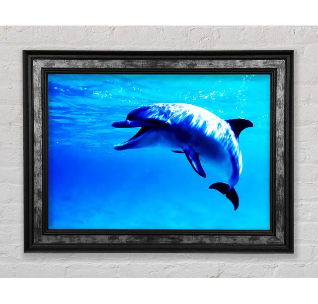 Dolphin Talk - Drucken Bright Star Größe: 100cm H x 141,4cm B x 8cm T on Productcaster.