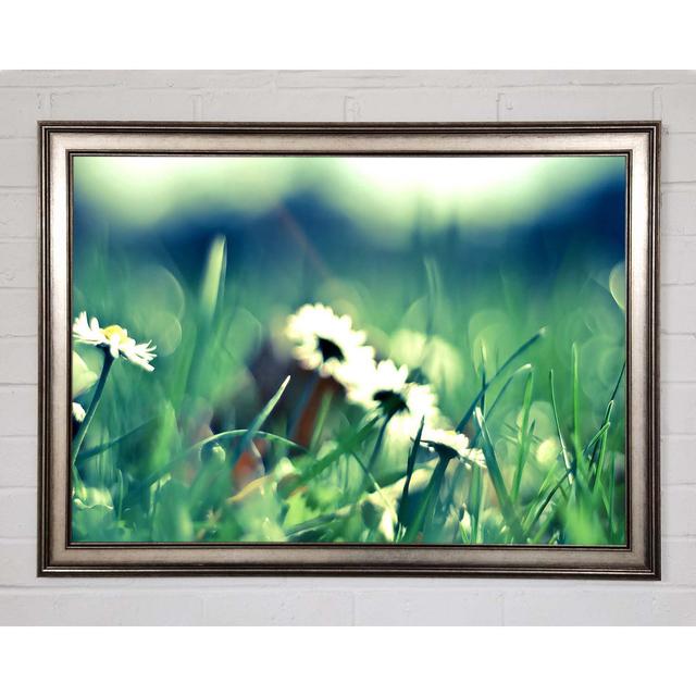 Daisies And Grass - Single Picture Frame Art Prints Brayden Studio Size: 84.1cm H x 118.9cm W x 1.5cm D on Productcaster.