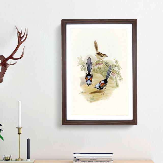 Lovely Wrens by Elizabeth Gould - Picture Frame Painting Print East Urban Home Frame Option: Walnut Framed, Size: 36cm H x 27cm W x 2cm D on Productcaster.