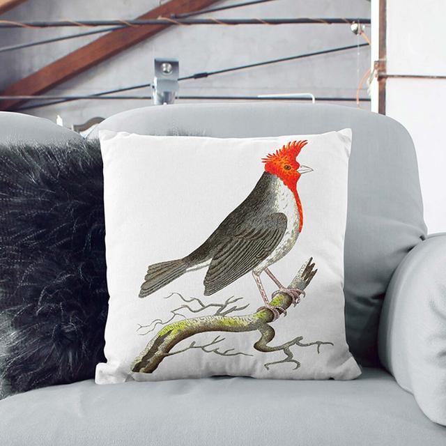 Crested Cardinal Bird by George Shaw Cushion with Filling East Urban Home Size: 40cm H x 40cm W x 15cm D, Backing Colour: Stone on Productcaster.