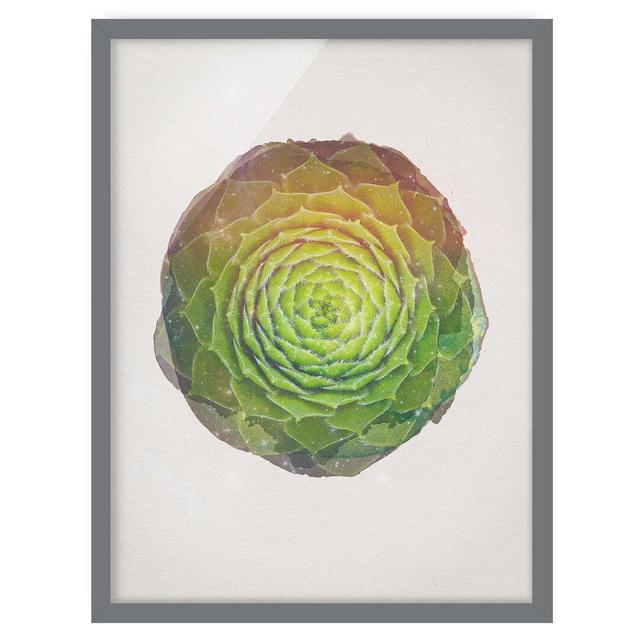 Mandala Succulent - Picture Frame Graphic Art Bay Isle Home Size: 40cm H x 30cm W x 2cm D, Frame Option: Grey Framed on Productcaster.